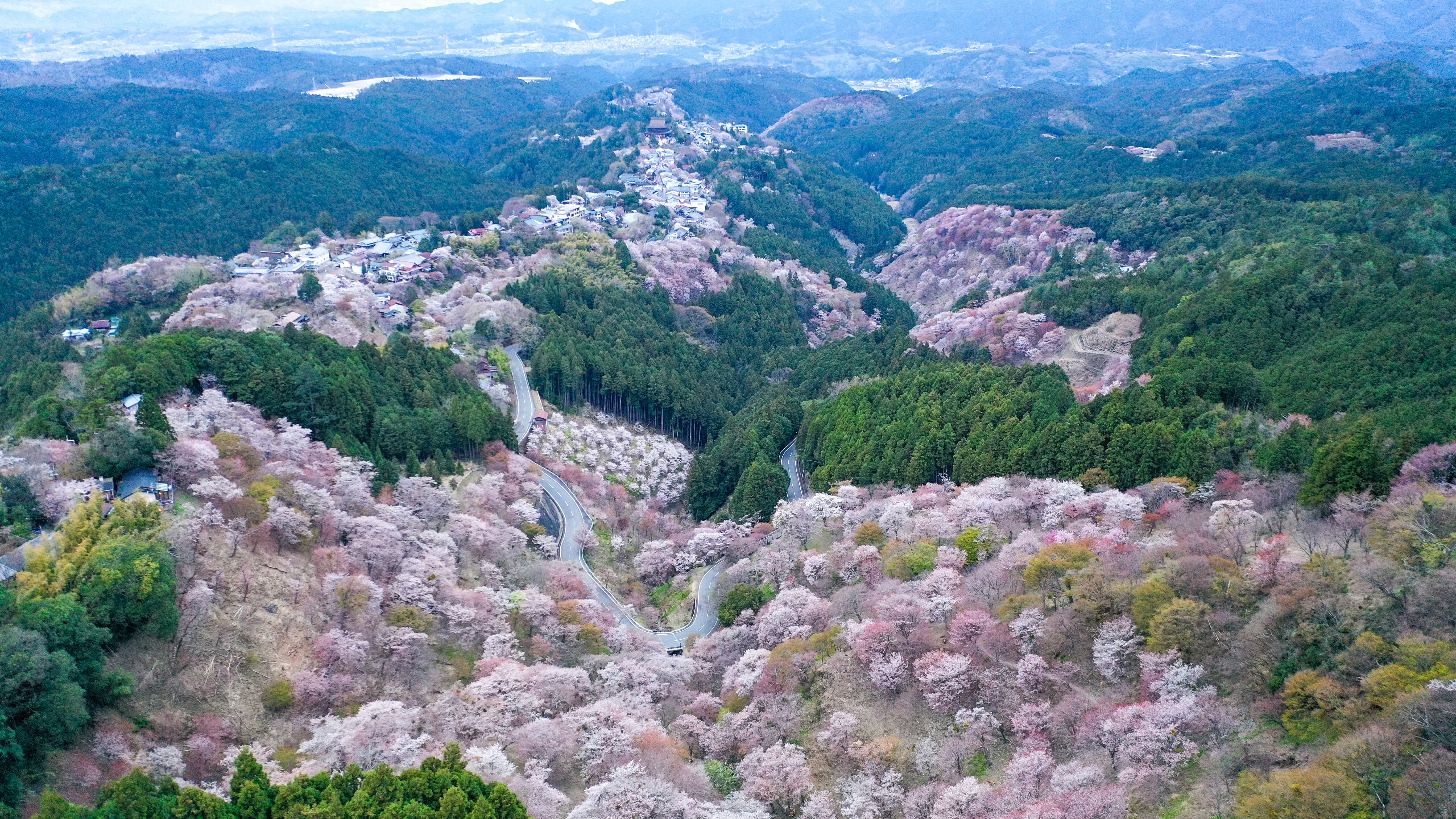 Viaggio nel Kansai, tra spiritualità e gastronomia nel cuore del Giappone